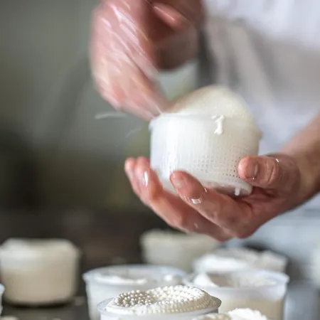 مزرعة للإقامة Why Farm