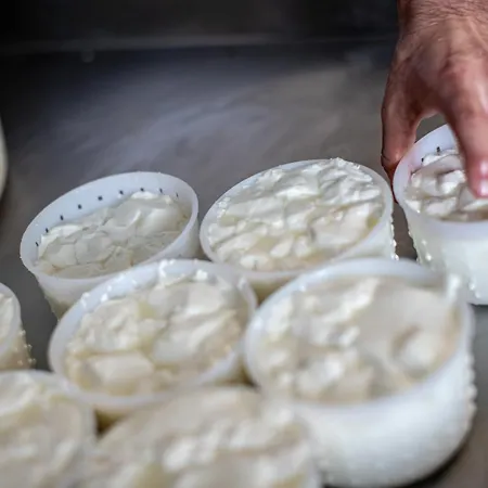 Why Farm Marano Ticino