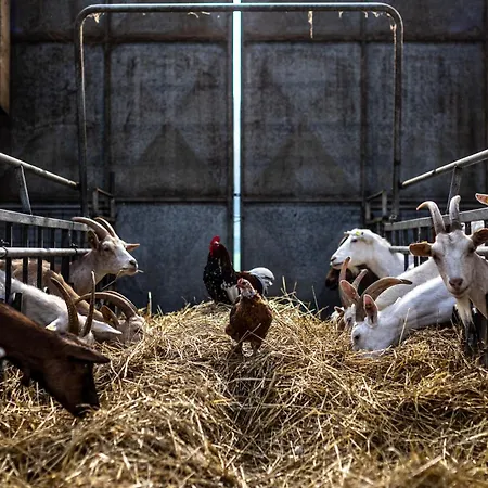 Why Farm *