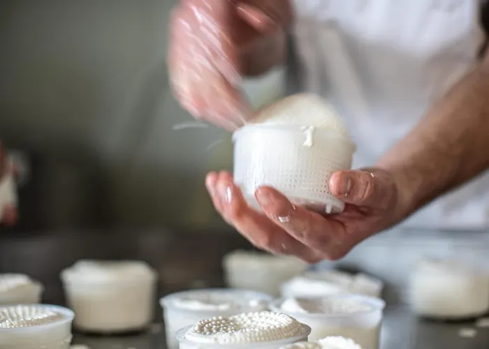 בית חווה Why Farm